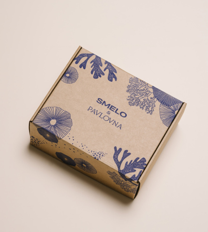 Подарочный бокс PAVLOVNAxSMELO
